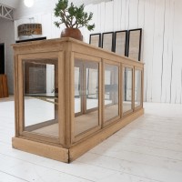 French oak laboratory display cabinet, 1930 (2)