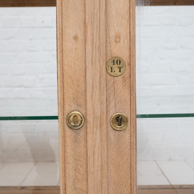 French oak laboratory display cabinet, 1930 (2)