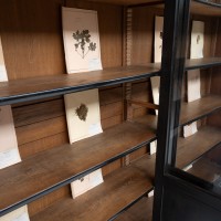 Imposante bibliothèque 4 portes, début XXème