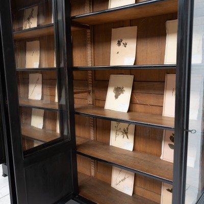 Imposante bibliothèque 4 portes, début XXème