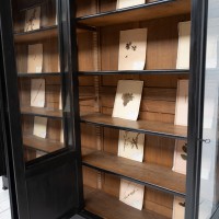 Imposante bibliothèque 4 portes, début XXème