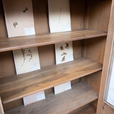 2-door oak  French bookcase, early 20th century