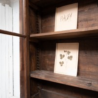 Large 8-door French bookcase, 1920