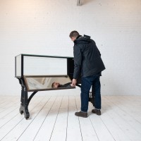 Ancienne vitrine de bijoutier, 1900