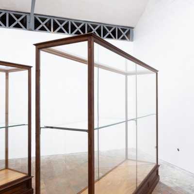 Ancienne vitrine de musée en chêne -  Début XXème