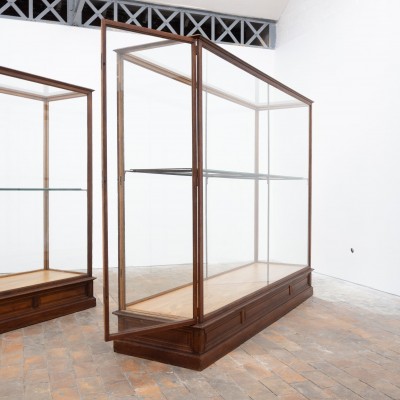 Ancienne vitrine de musée en chêne -  Début XXème