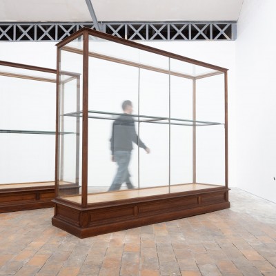 Ancienne vitrine de musée en chêne -  Début XXème