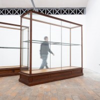 Ancienne vitrine de musée en chêne -  Début XXème