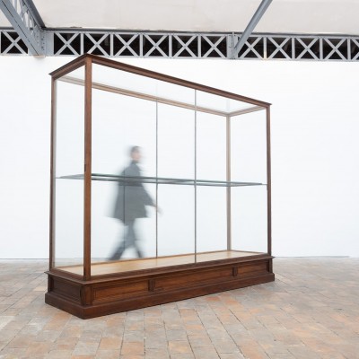Ancienne vitrine de musée en chêne -  Début XXème