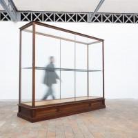 Ancienne vitrine de musée en chêne -  Début XXème