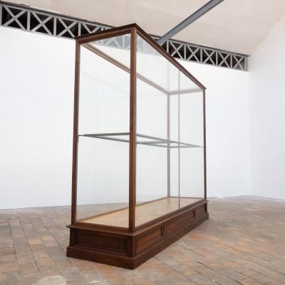 Ancienne vitrine de musée en chêne -  Début XXème