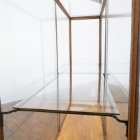 Ancienne vitrine de musée en chêne -  Début XXème