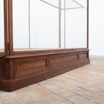 Ancienne vitrine de musée en chêne -  Début XXème