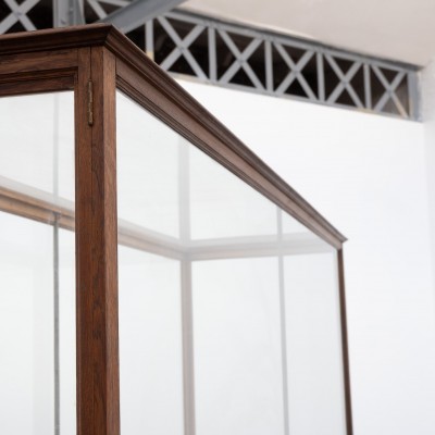 Ancienne vitrine de musée en chêne -  Début XXème