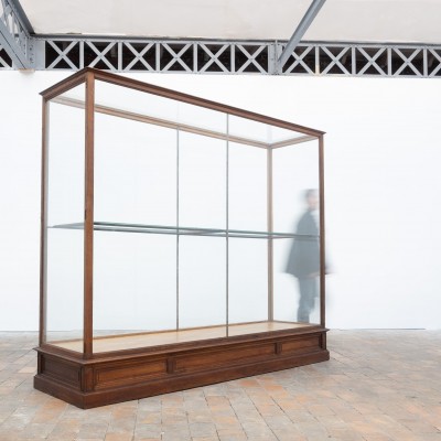 Ancienne vitrine de musée en chêne -  Début XXème