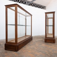 1 à 2 grandes vitrines centrale de musée en chêne – Début du XXe siècle