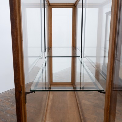 1 à 2 grandes vitrines centrale de musée en chêne – Début du XXe siècle