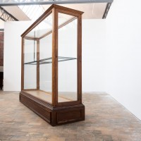 1 à 2 grandes vitrines centrale de musée en chêne – Début du XXe siècle