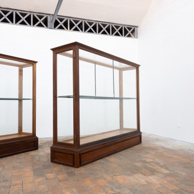 1 à 2 grandes vitrines centrale de musée en chêne – Début du XXe siècle