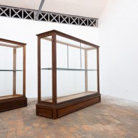 1 à 2 grandes vitrines centrale de musée en chêne – Début du XXe siècle