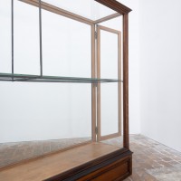 1 à 2 grandes vitrines centrale de musée en chêne – Début du XXe siècle