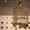 Former bird cage