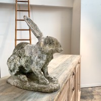 Concrete rabbit