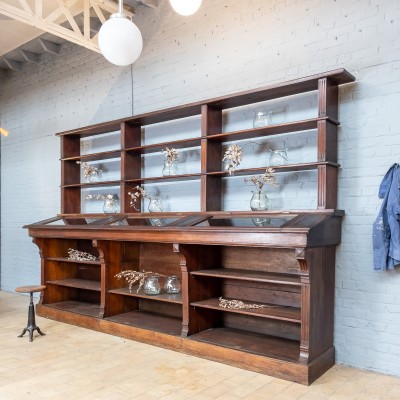 French bookstore cabinet circa 1900