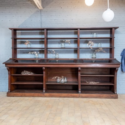 French bookstore cabinet circa 1900