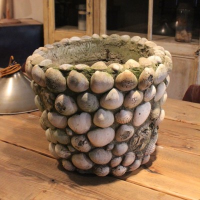 Ancien pot de jardin coquillages